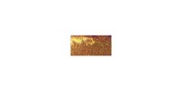 Finnabair Art Alchemy - Peinture acrylique «Sparks» couleur «Chest Of Gold»  1.7 oz
